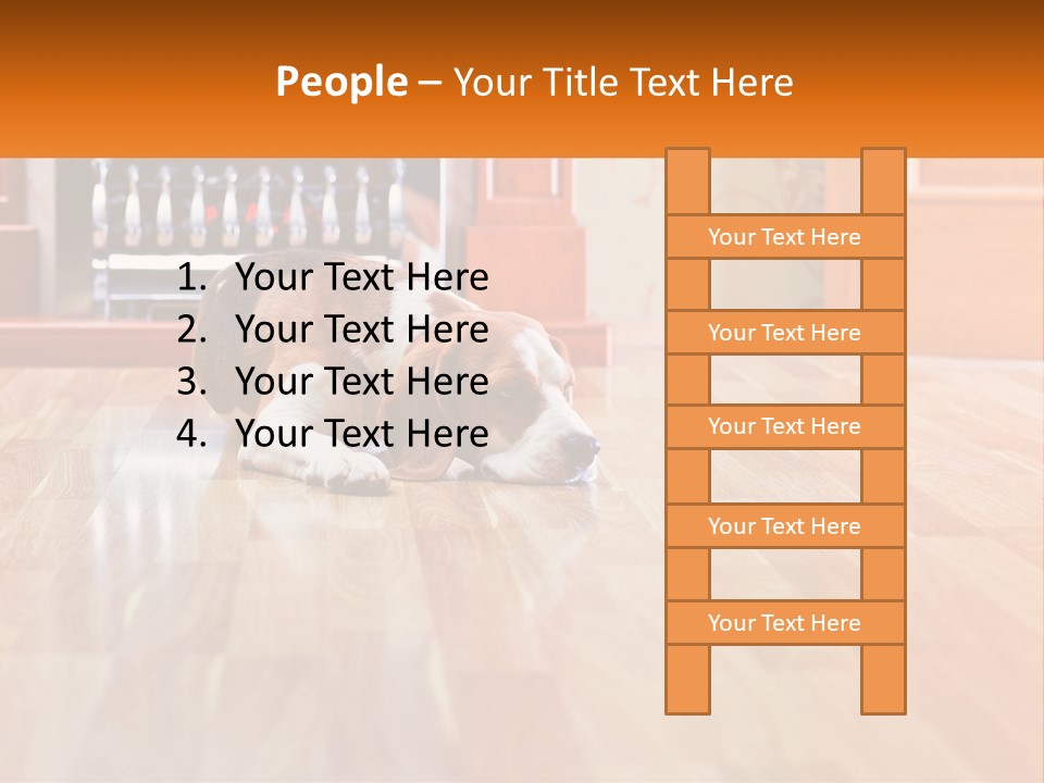 A Brown And White Dog Laying On Top Of A Hard Wood Floor PowerPoint Template