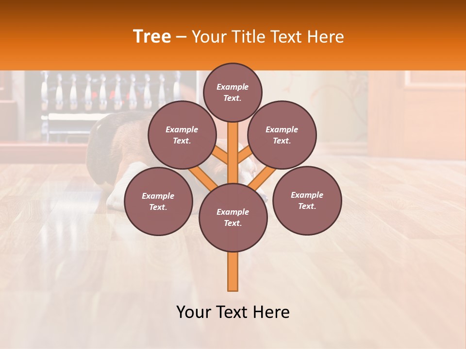 A Brown And White Dog Laying On Top Of A Hard Wood Floor PowerPoint Template