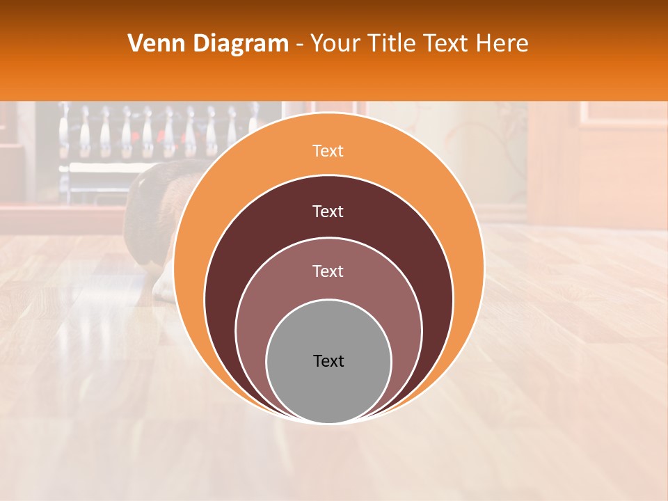 A Brown And White Dog Laying On Top Of A Hard Wood Floor PowerPoint Template