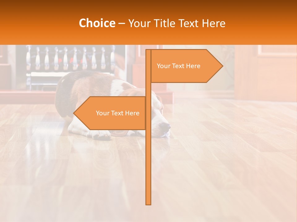 A Brown And White Dog Laying On Top Of A Hard Wood Floor PowerPoint Template