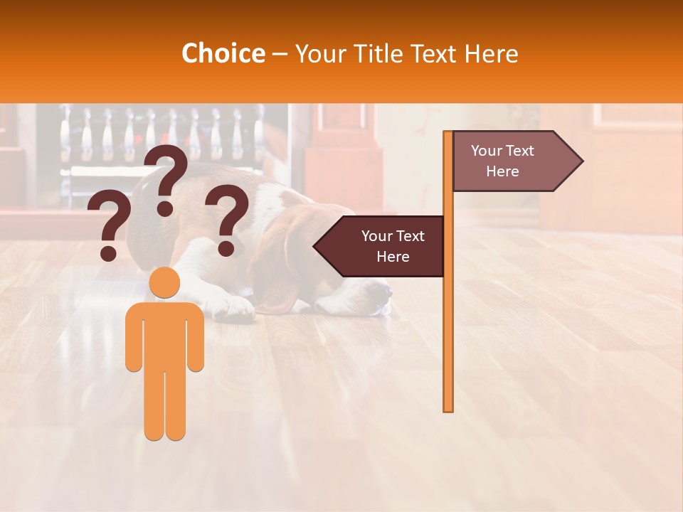 A Brown And White Dog Laying On Top Of A Hard Wood Floor PowerPoint Template