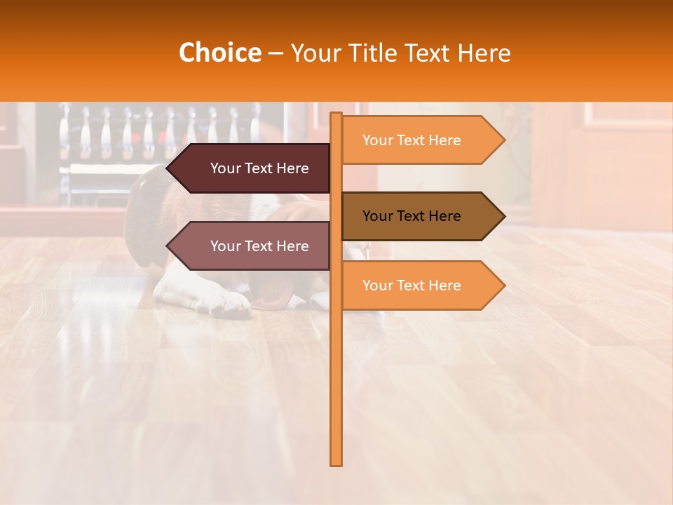 A Brown And White Dog Laying On Top Of A Hard Wood Floor PowerPoint Template