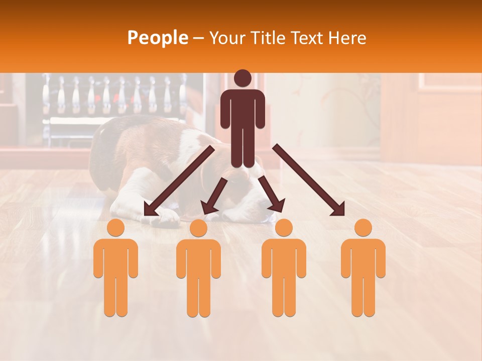 A Brown And White Dog Laying On Top Of A Hard Wood Floor PowerPoint Template