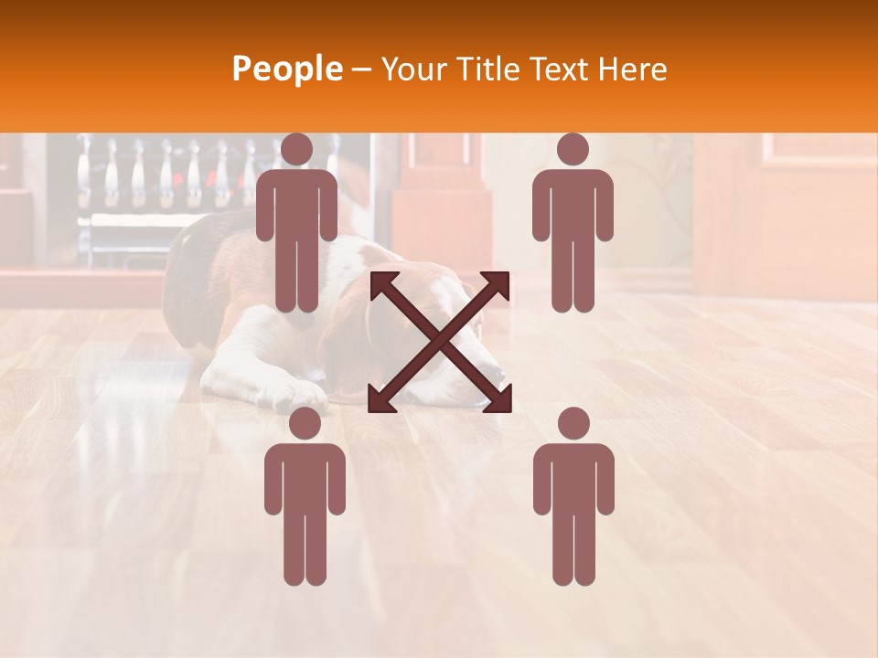 A Brown And White Dog Laying On Top Of A Hard Wood Floor PowerPoint Template
