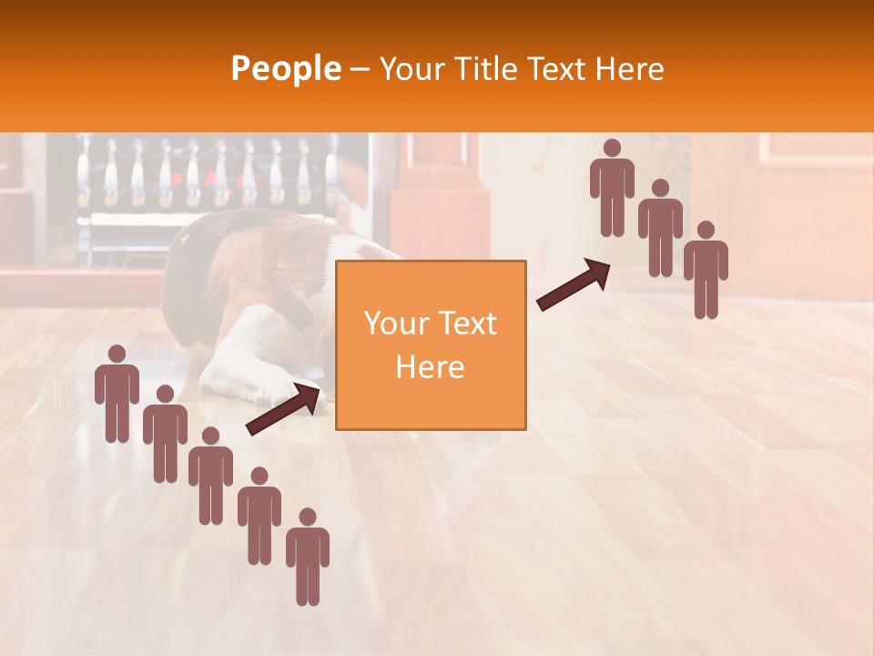 A Brown And White Dog Laying On Top Of A Hard Wood Floor PowerPoint Template
