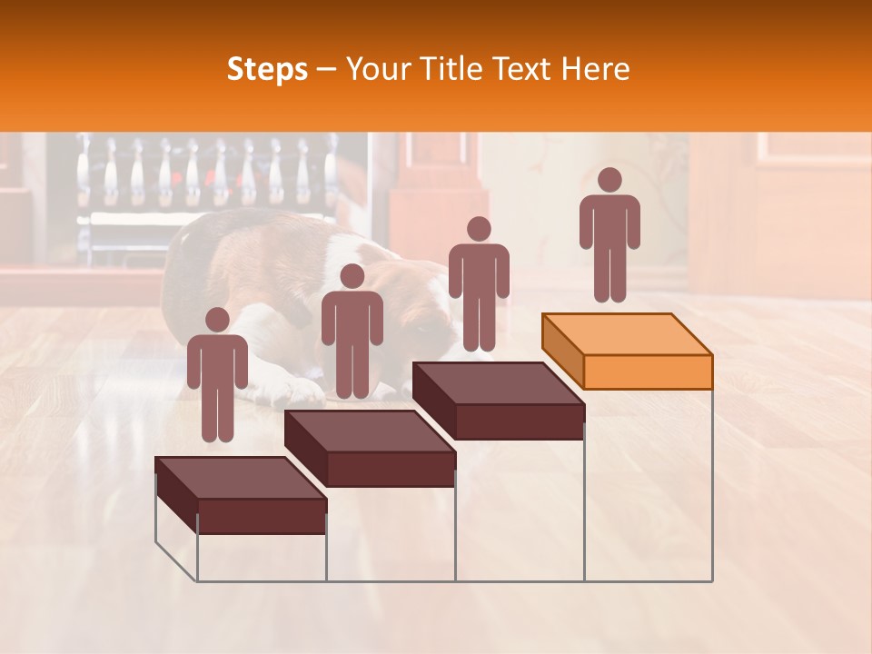 A Brown And White Dog Laying On Top Of A Hard Wood Floor PowerPoint Template