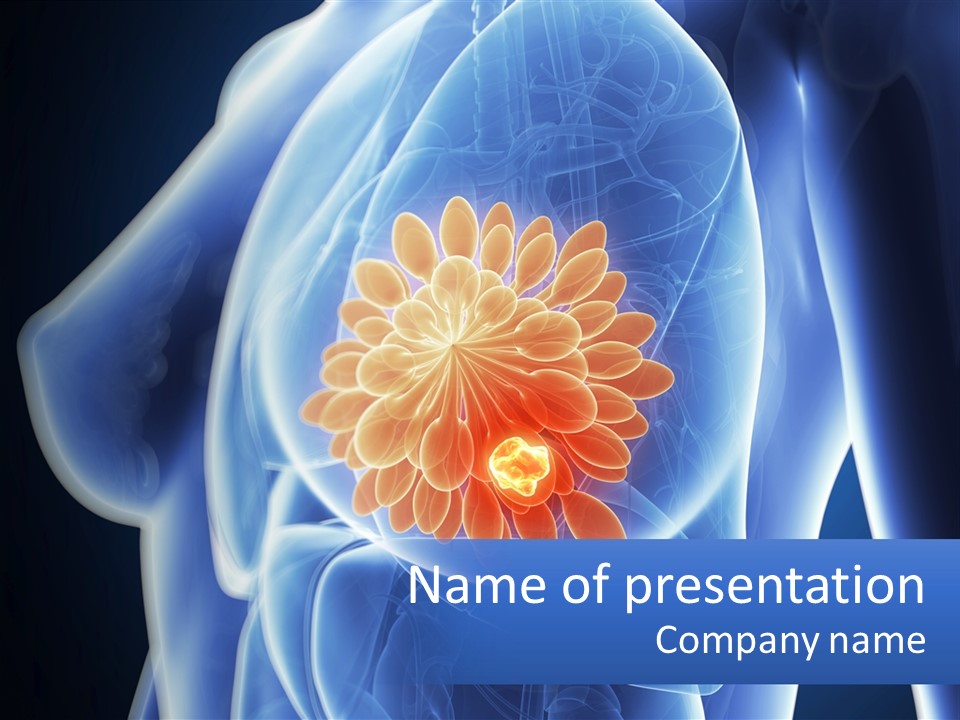 The Stomach Is Shown With A Flower On It PowerPoint Template
