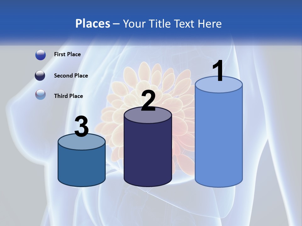 The Stomach Is Shown With A Flower On It PowerPoint Template