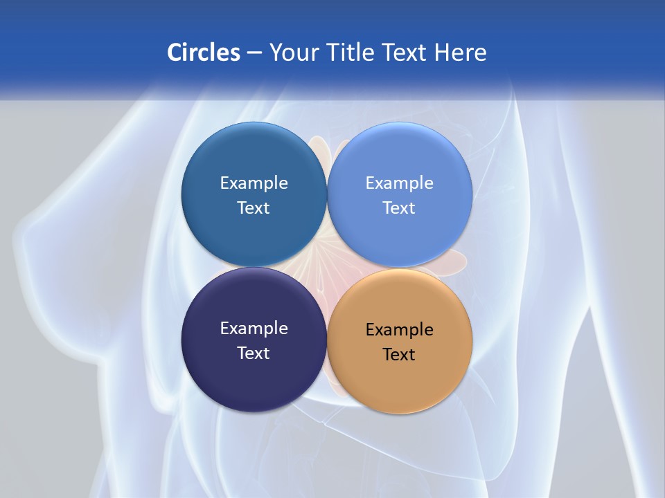 The Stomach Is Shown With A Flower On It PowerPoint Template