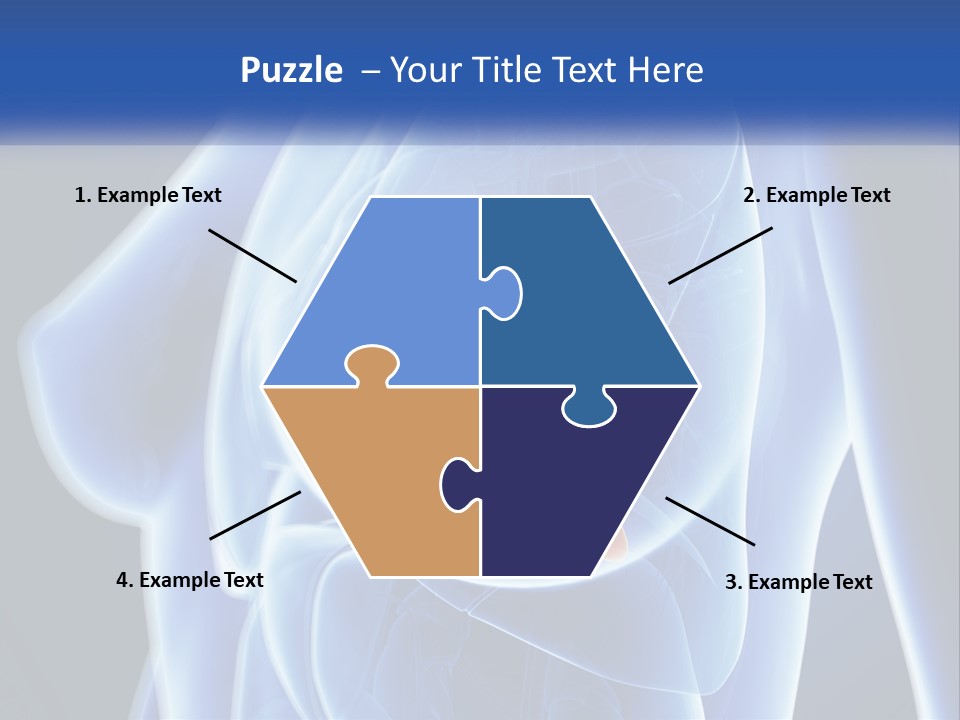 The Stomach Is Shown With A Flower On It PowerPoint Template