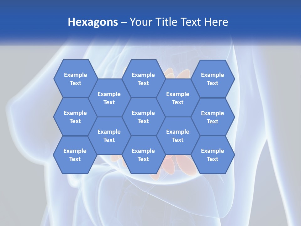 The Stomach Is Shown With A Flower On It PowerPoint Template