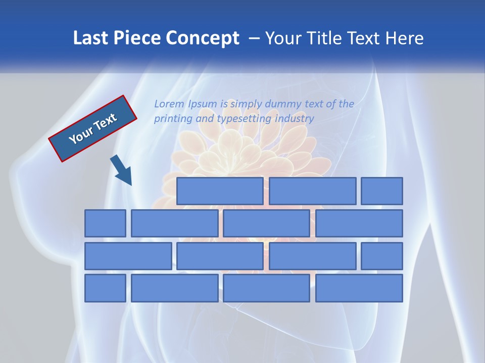 The Stomach Is Shown With A Flower On It PowerPoint Template