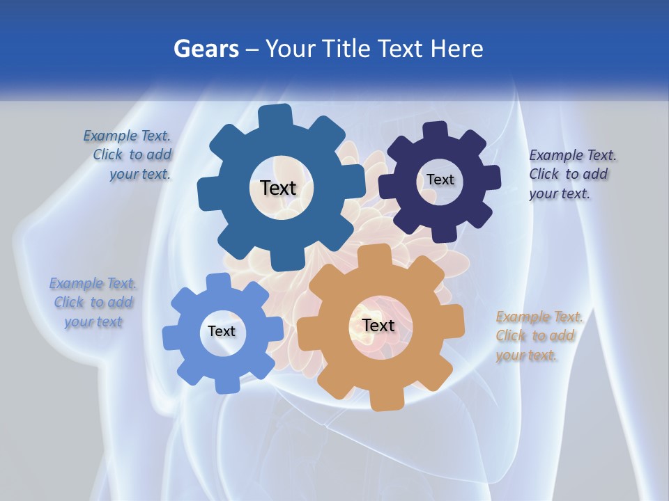 The Stomach Is Shown With A Flower On It PowerPoint Template