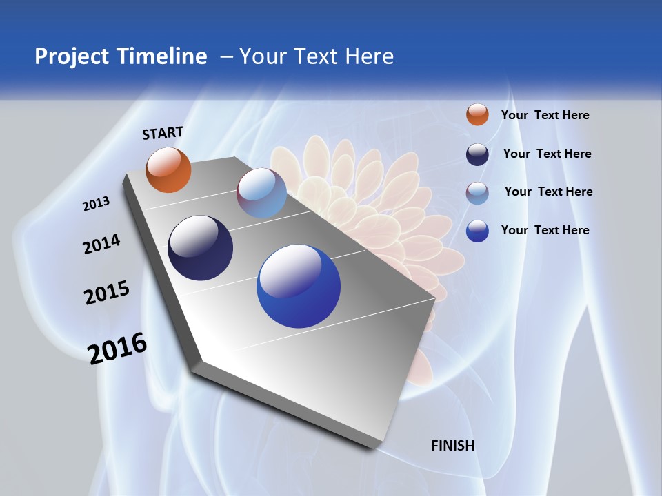 The Stomach Is Shown With A Flower On It PowerPoint Template