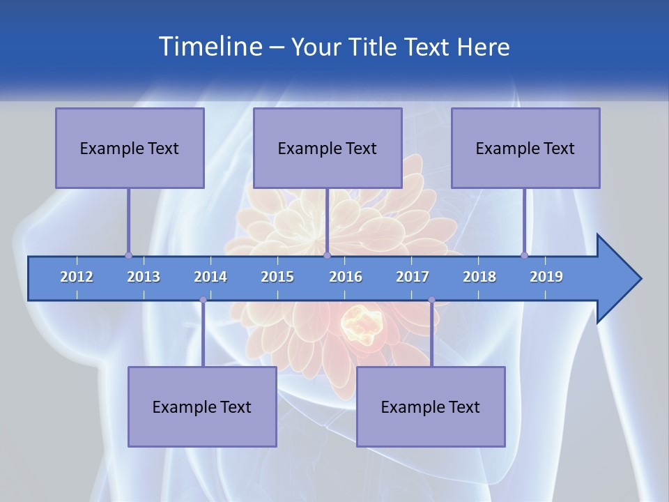 The Stomach Is Shown With A Flower On It PowerPoint Template