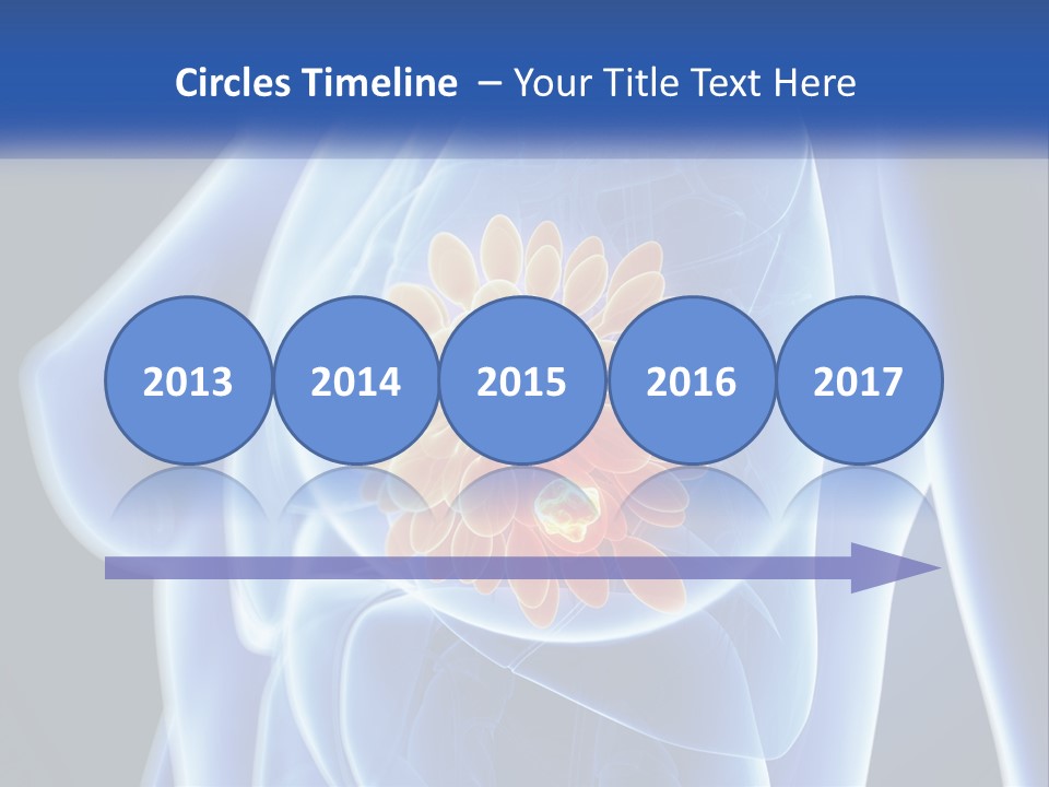 The Stomach Is Shown With A Flower On It PowerPoint Template
