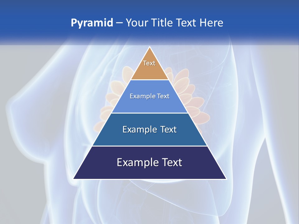The Stomach Is Shown With A Flower On It PowerPoint Template