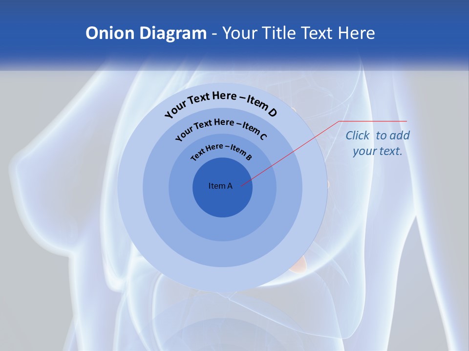 The Stomach Is Shown With A Flower On It PowerPoint Template