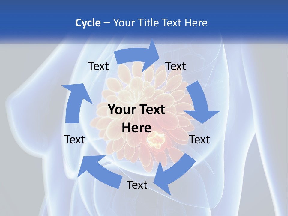 The Stomach Is Shown With A Flower On It PowerPoint Template