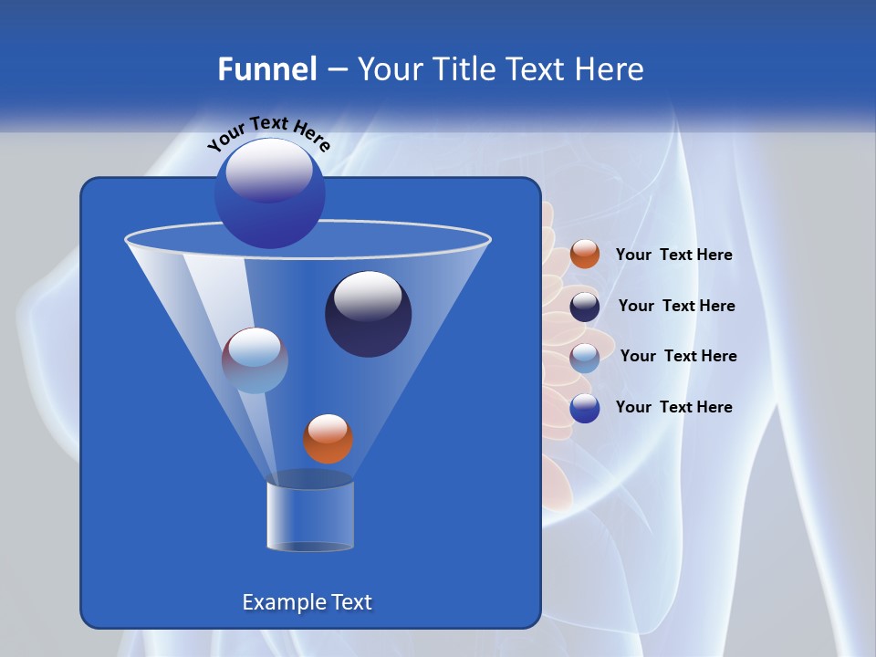 The Stomach Is Shown With A Flower On It PowerPoint Template