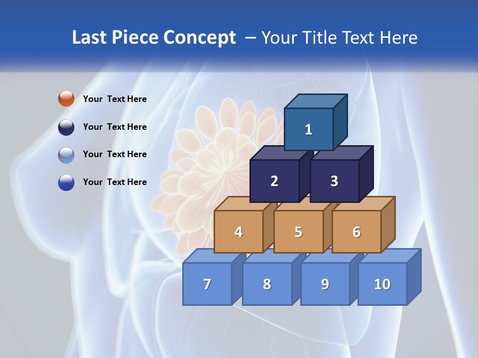 The Stomach Is Shown With A Flower On It PowerPoint Template