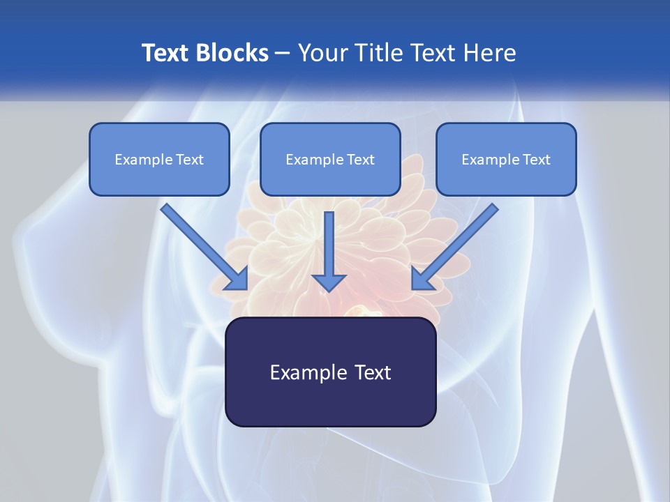 The Stomach Is Shown With A Flower On It PowerPoint Template