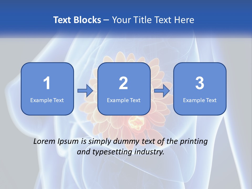 The Stomach Is Shown With A Flower On It PowerPoint Template