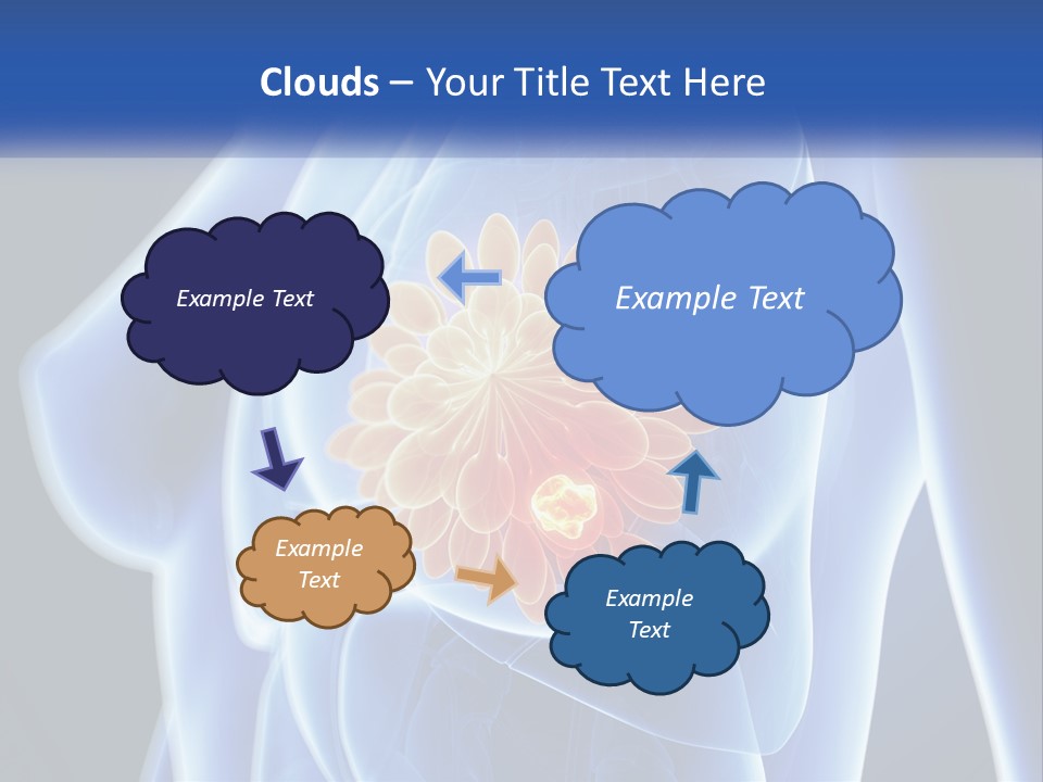 The Stomach Is Shown With A Flower On It PowerPoint Template