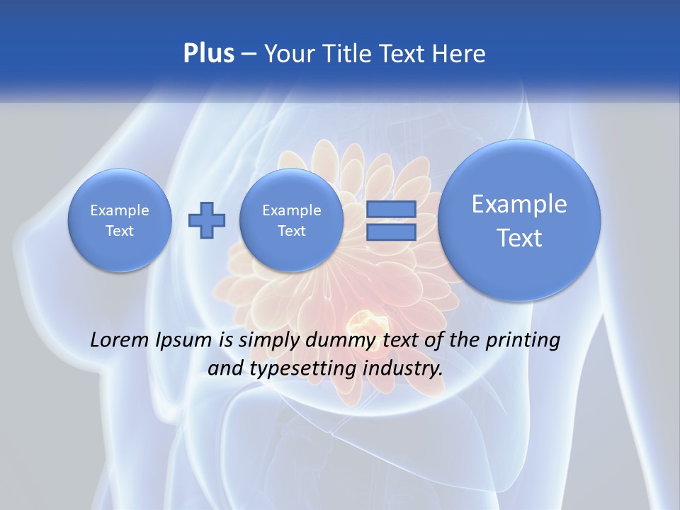 The Stomach Is Shown With A Flower On It PowerPoint Template