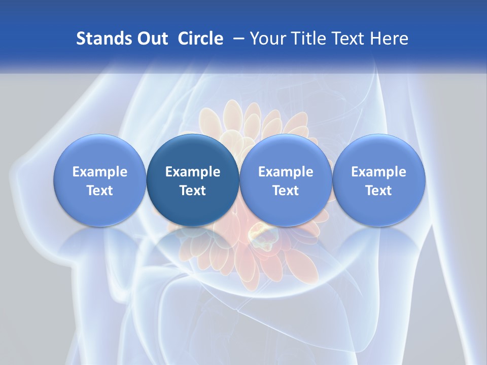 The Stomach Is Shown With A Flower On It PowerPoint Template