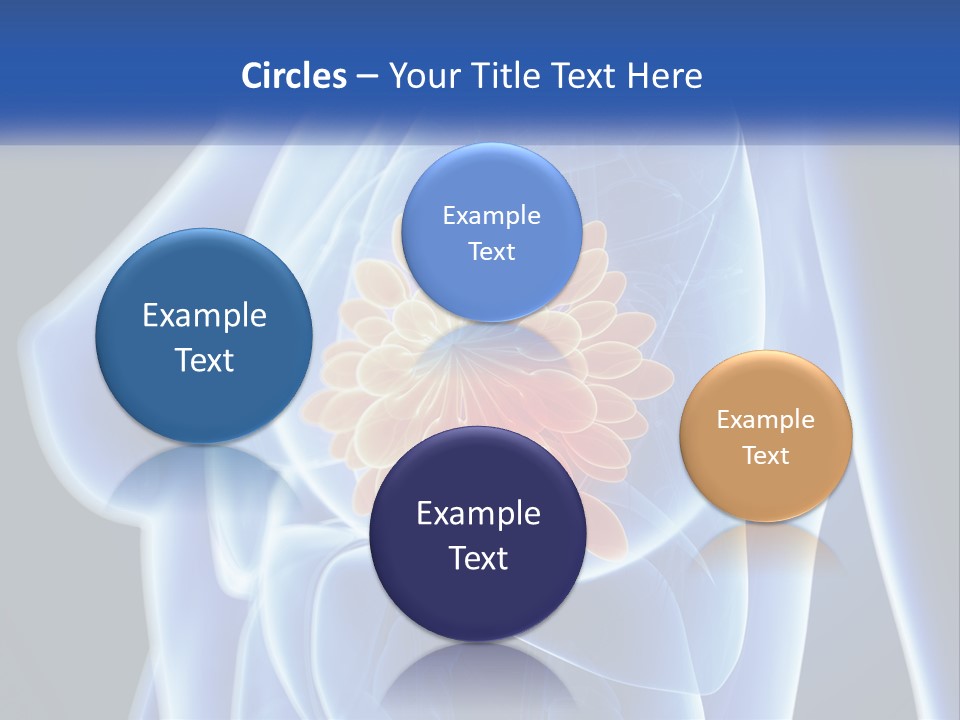 The Stomach Is Shown With A Flower On It PowerPoint Template