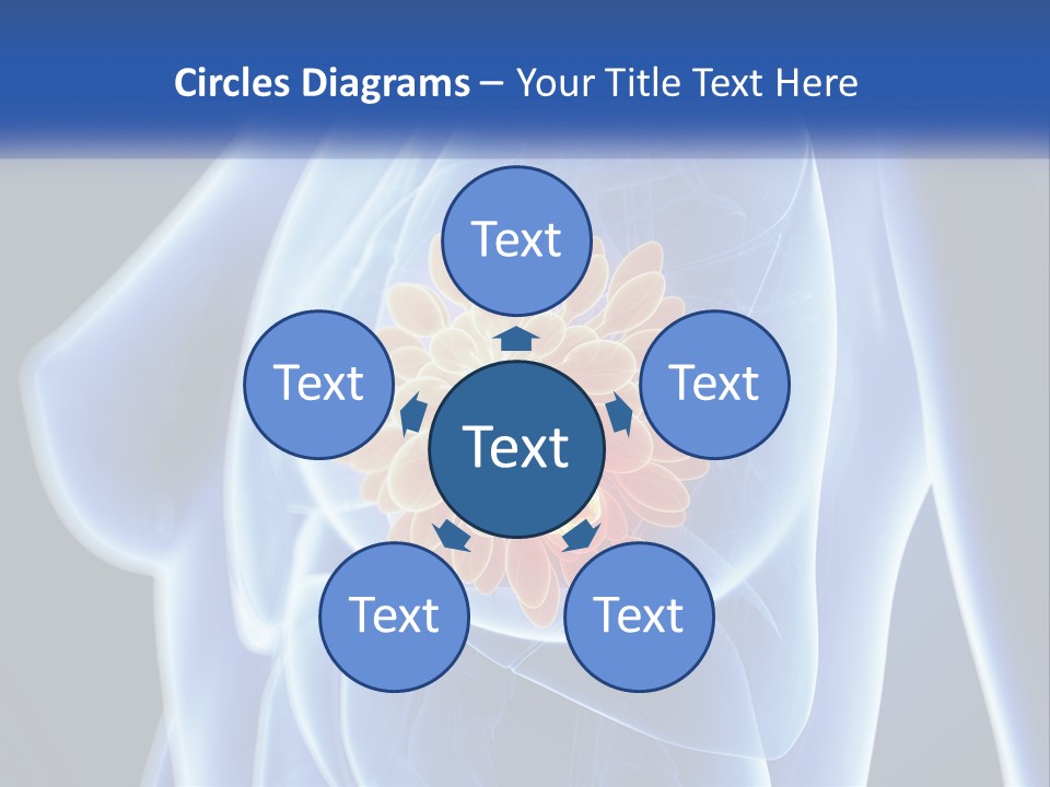 The Stomach Is Shown With A Flower On It PowerPoint Template