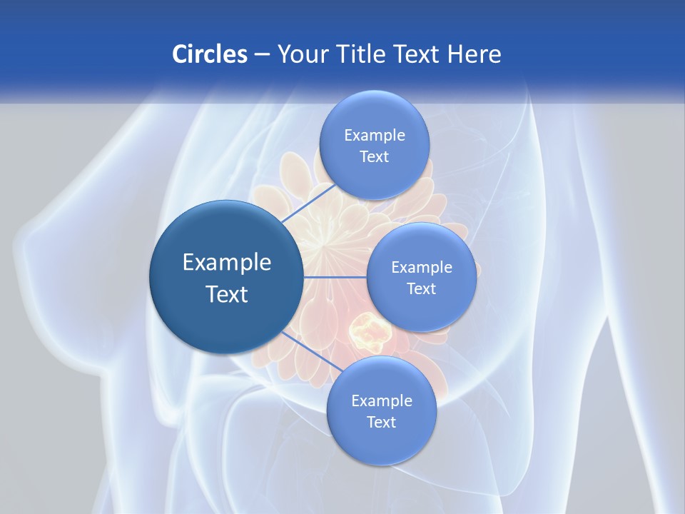 The Stomach Is Shown With A Flower On It PowerPoint Template