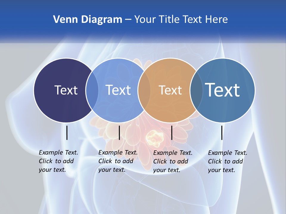 The Stomach Is Shown With A Flower On It PowerPoint Template