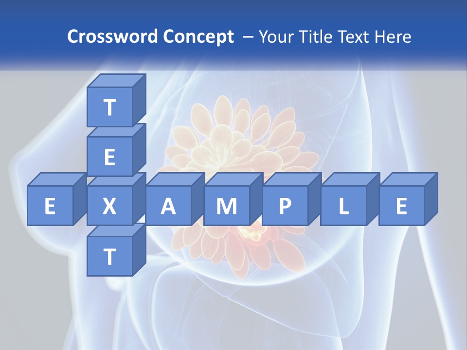 The Stomach Is Shown With A Flower On It PowerPoint Template