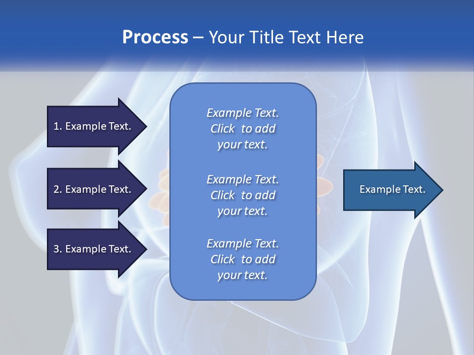 The Stomach Is Shown With A Flower On It PowerPoint Template