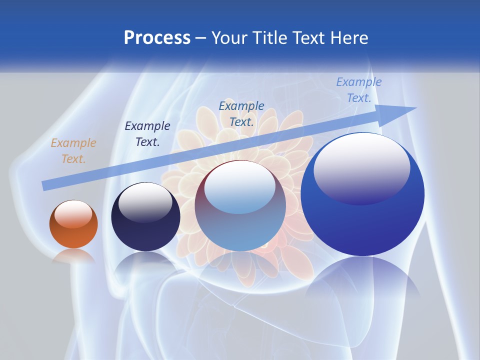The Stomach Is Shown With A Flower On It PowerPoint Template