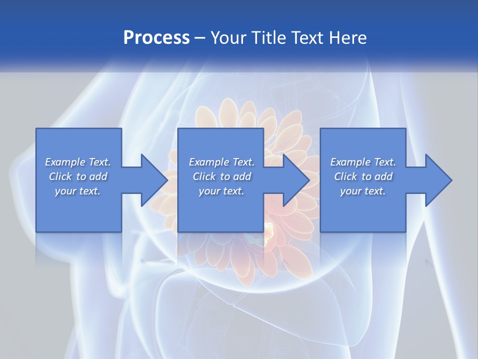 The Stomach Is Shown With A Flower On It PowerPoint Template