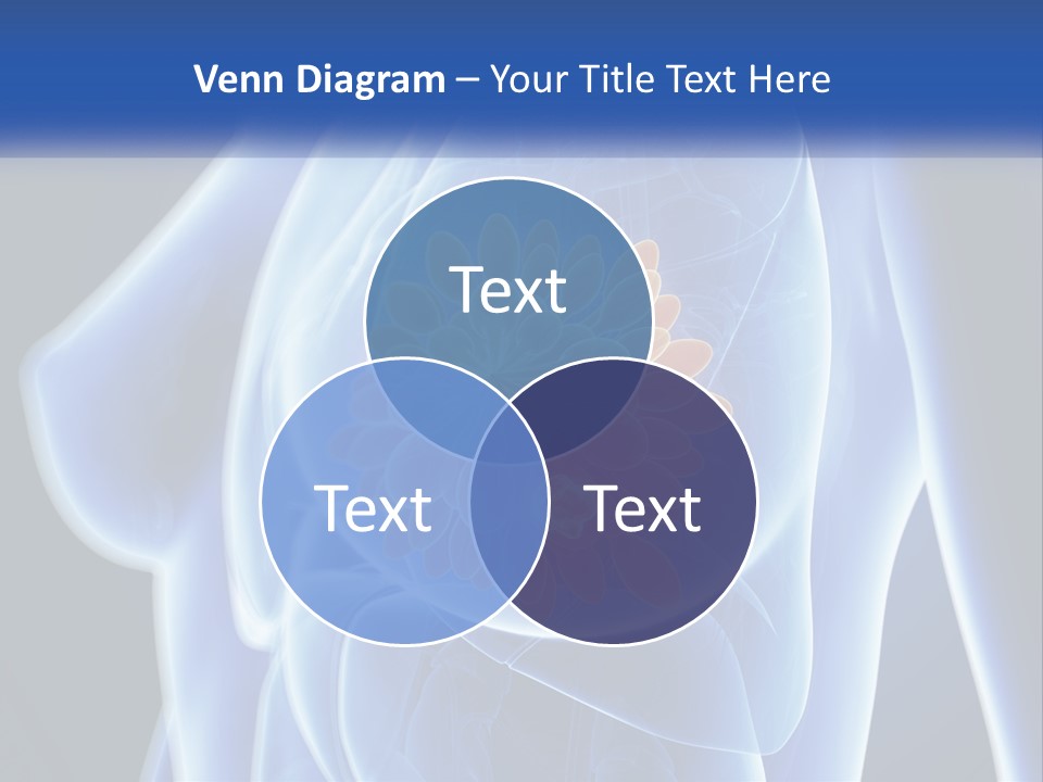 The Stomach Is Shown With A Flower On It PowerPoint Template