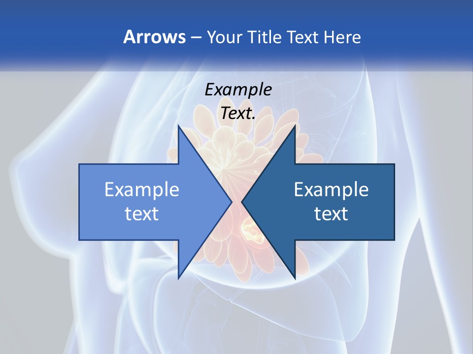 The Stomach Is Shown With A Flower On It PowerPoint Template