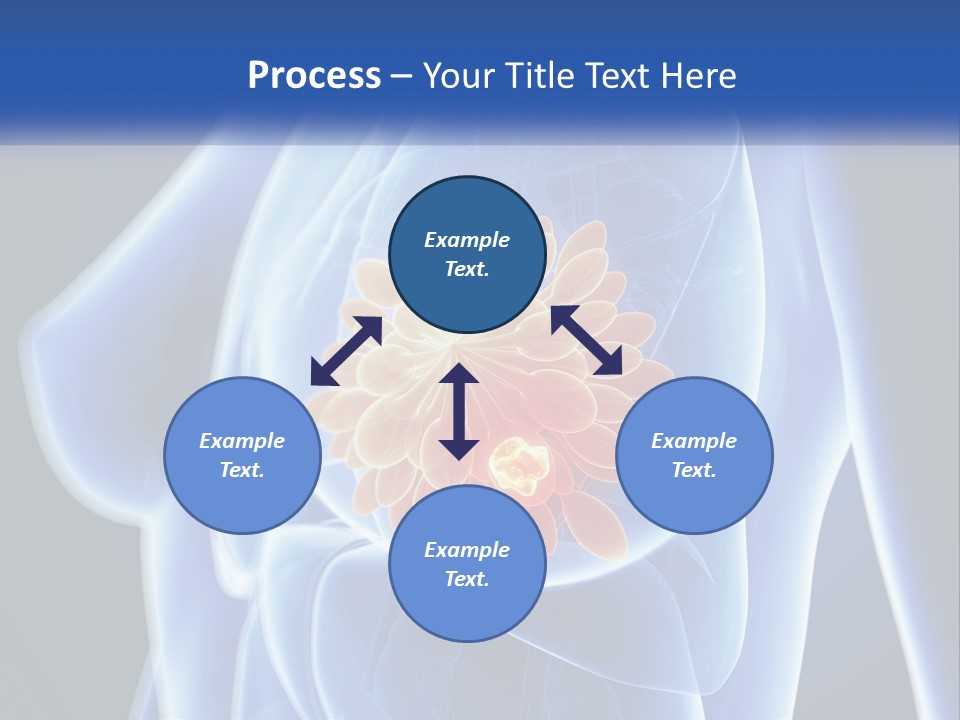 The Stomach Is Shown With A Flower On It PowerPoint Template