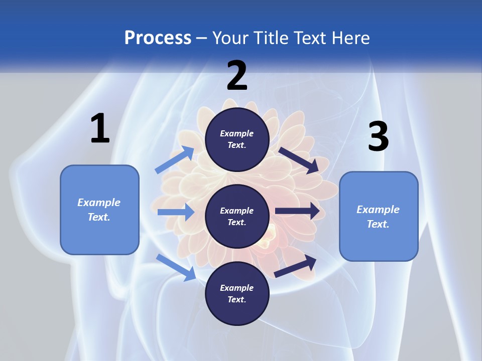 The Stomach Is Shown With A Flower On It PowerPoint Template