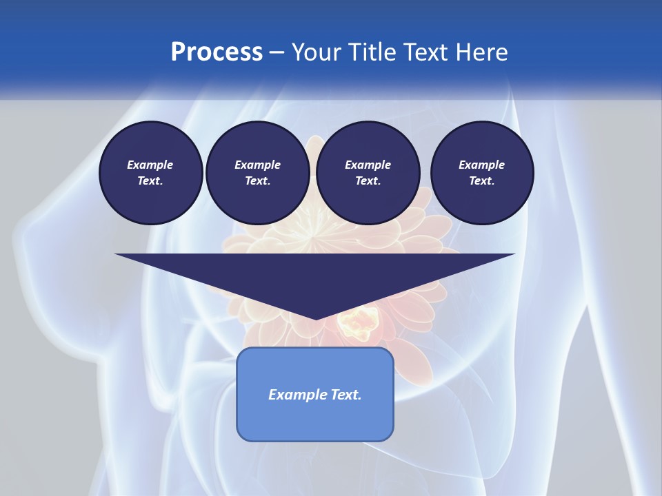 The Stomach Is Shown With A Flower On It PowerPoint Template