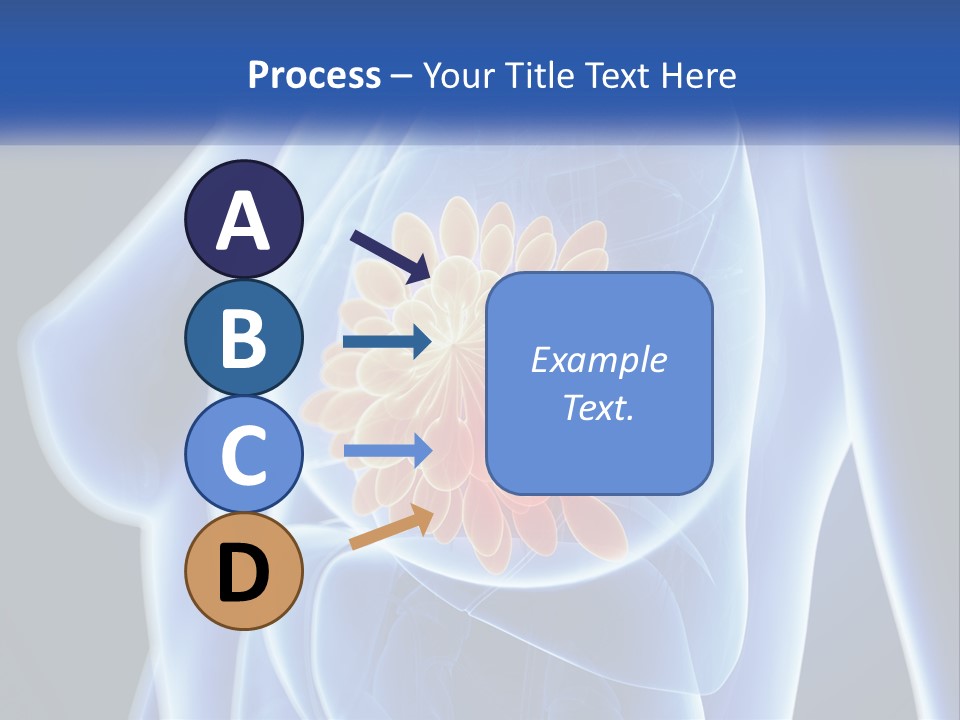 The Stomach Is Shown With A Flower On It PowerPoint Template