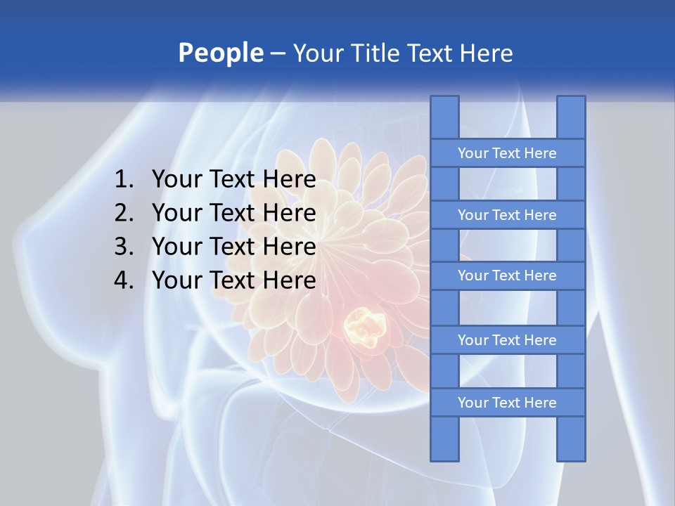 The Stomach Is Shown With A Flower On It PowerPoint Template