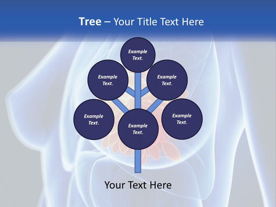 The Stomach Is Shown With A Flower On It PowerPoint Template