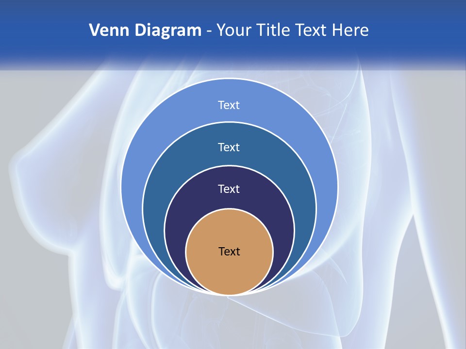 The Stomach Is Shown With A Flower On It PowerPoint Template
