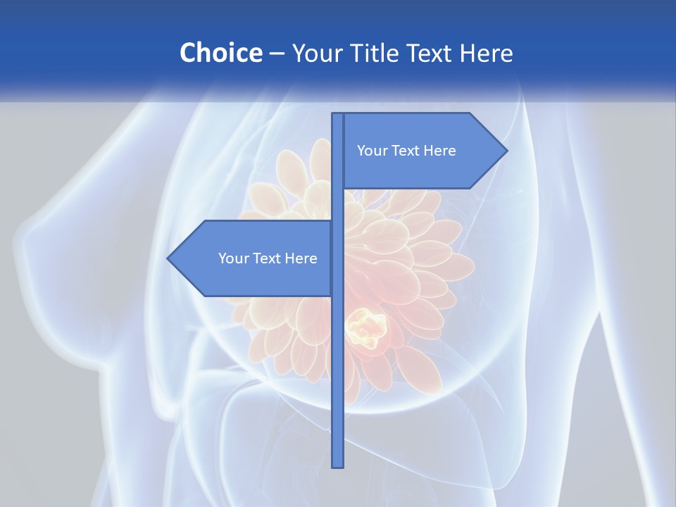 The Stomach Is Shown With A Flower On It PowerPoint Template