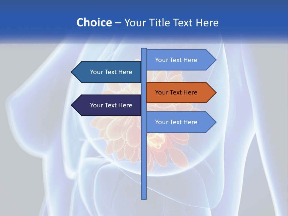 The Stomach Is Shown With A Flower On It PowerPoint Template