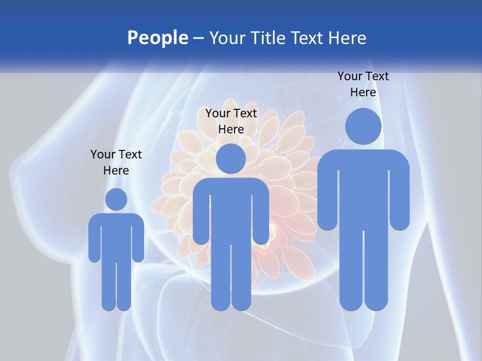 The Stomach Is Shown With A Flower On It PowerPoint Template